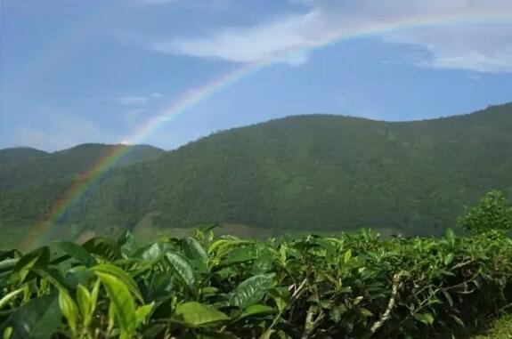 QQ截圖20160428095559